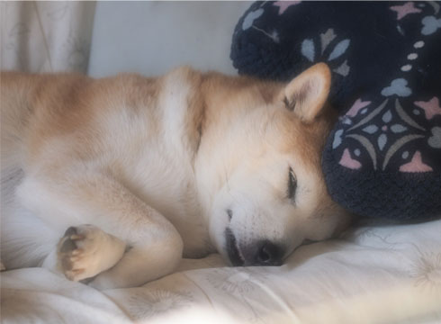 15日ブログ6.jpg
