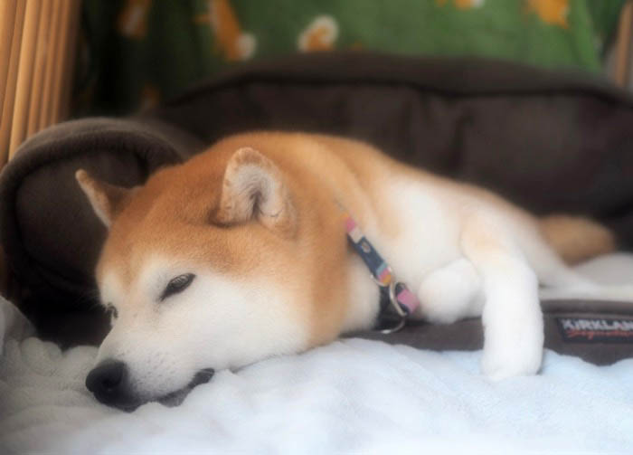 17日ブログ３