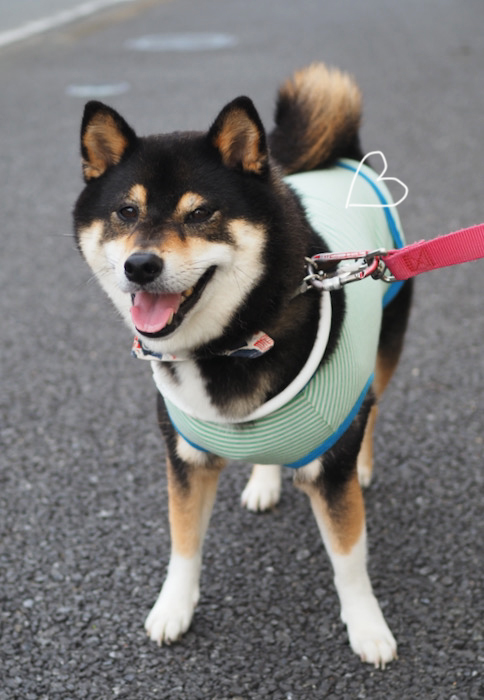 17日夜ブログ９