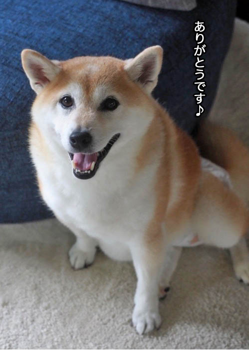 17日夕ブログ３
