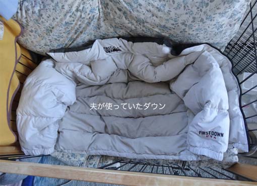 5日ブログ9.jpg