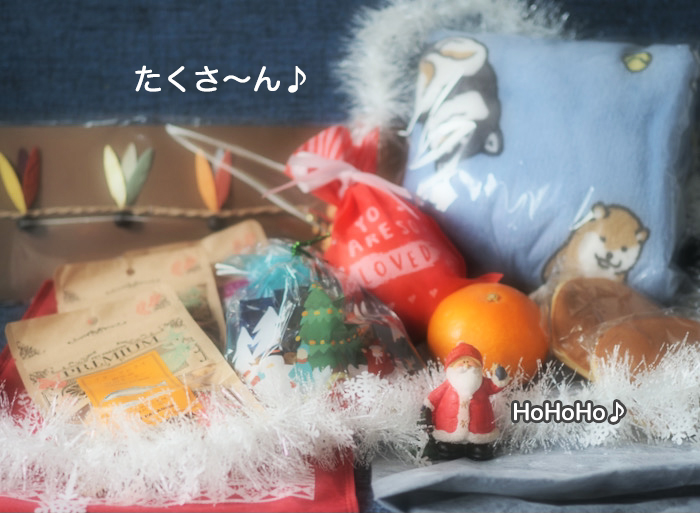 15日ブログ４