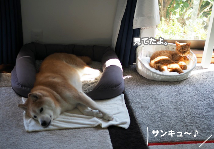 8日ブログ２