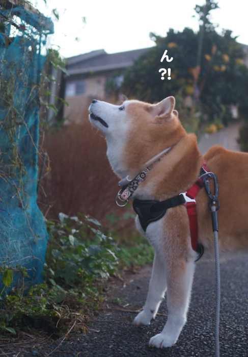 20日ブログ４