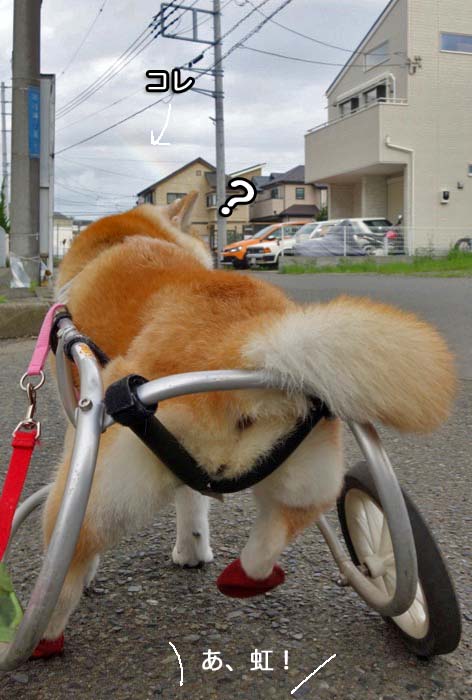 16日ブログ１