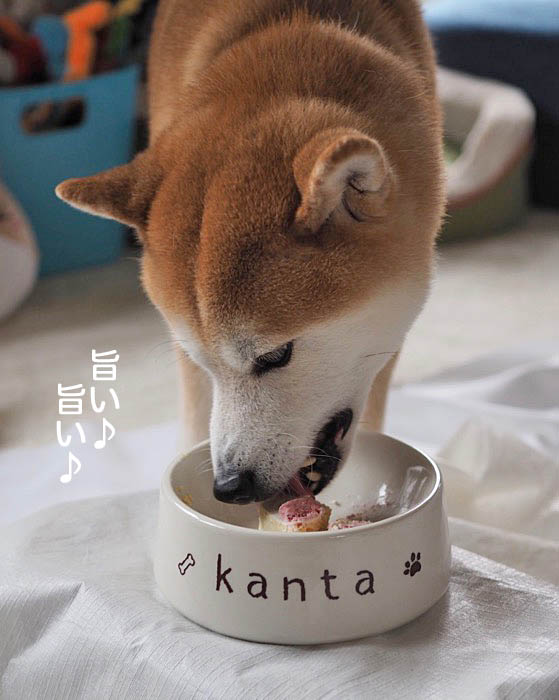3日午後ブログ9