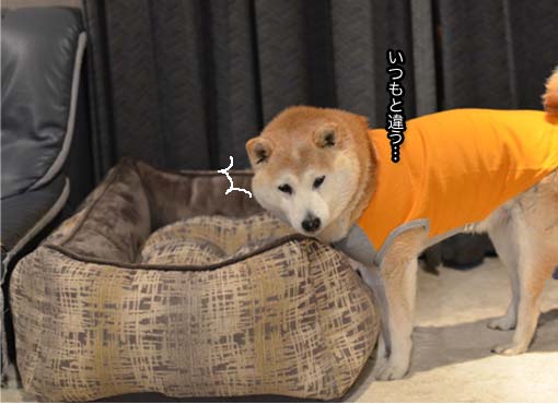 22日ブログ5.jpg