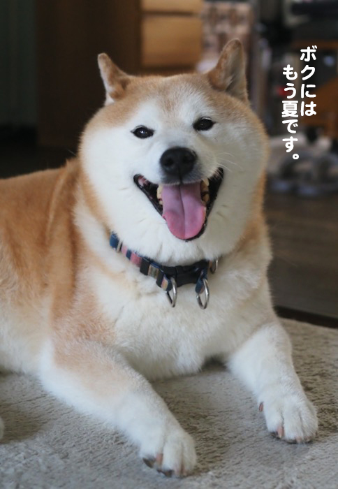 25日夕ブログ２