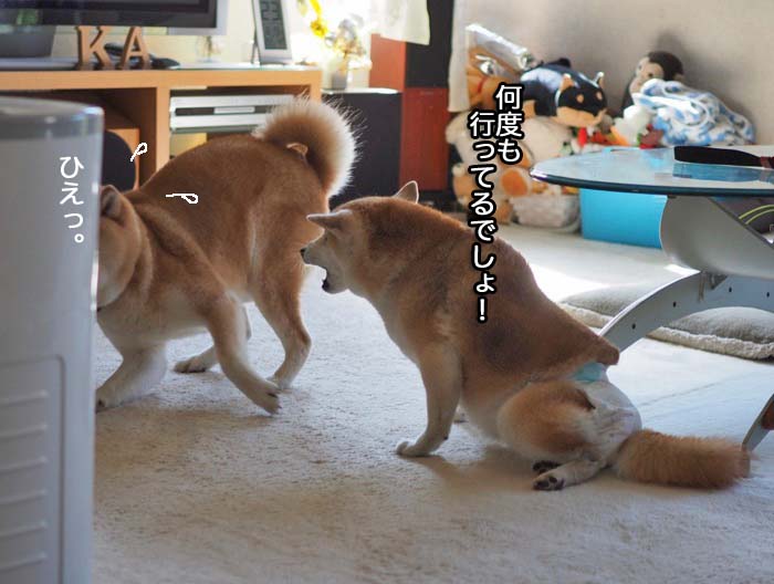 23日午前ブログ１０