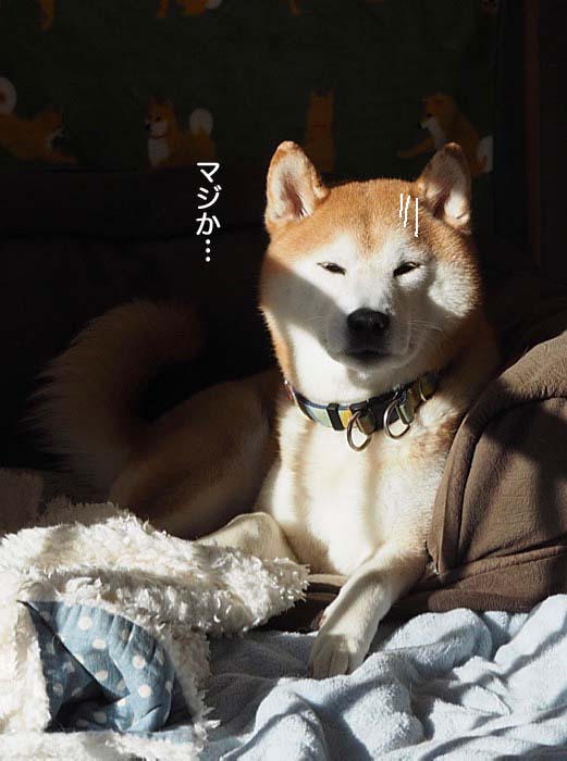 21日夜ブログ４