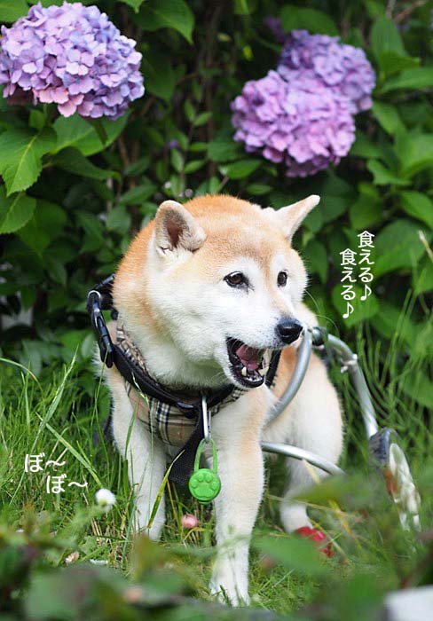 11日ブログ３