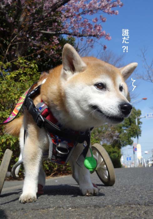 2日ブログ３