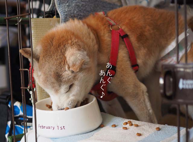 9日ブログ7