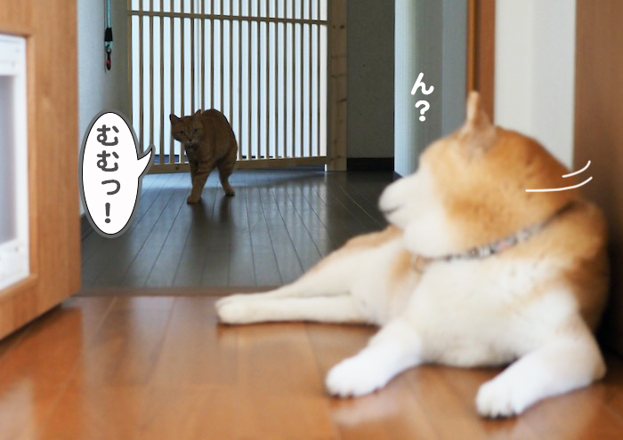 8日夕ブログ５
