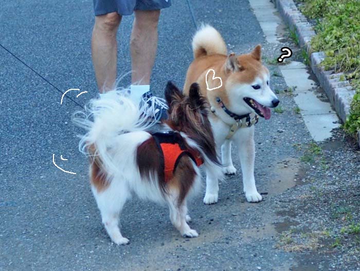 1日夕ブログ１３