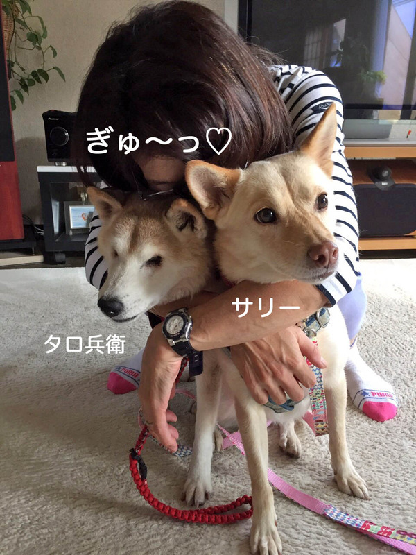 1日夜ブログ１１