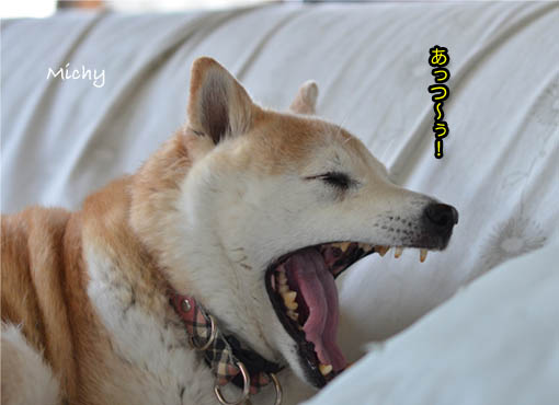 26日ブログ5.jpg