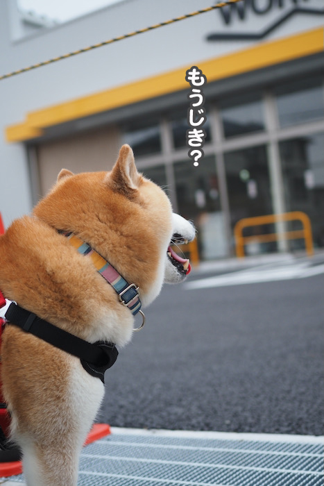 16日ブログ3
