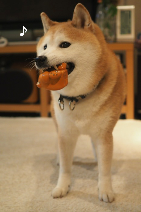12日夕用７