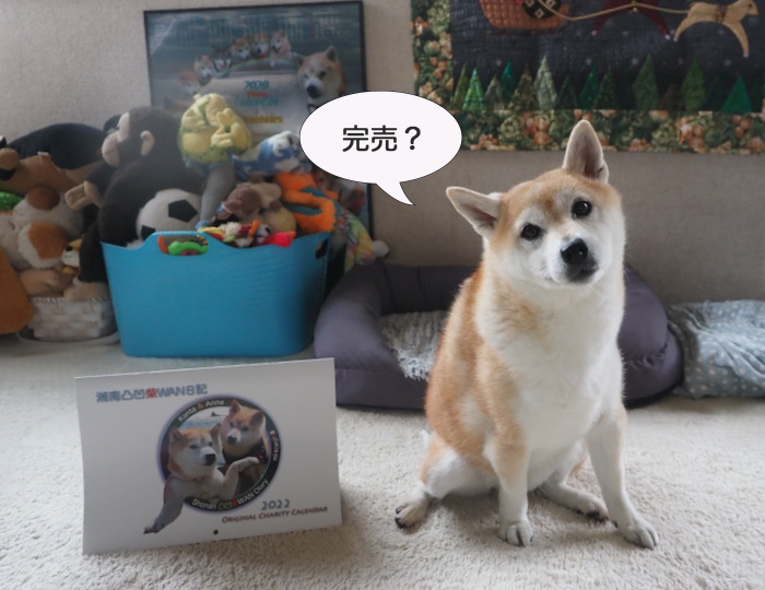 7日午後ブログ１