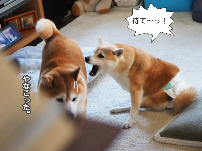 16日夜ブログ１１