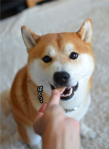 31日ブログ9.jpg