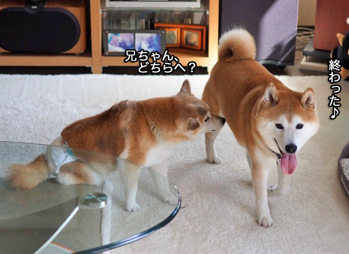 15日夜ブログ５