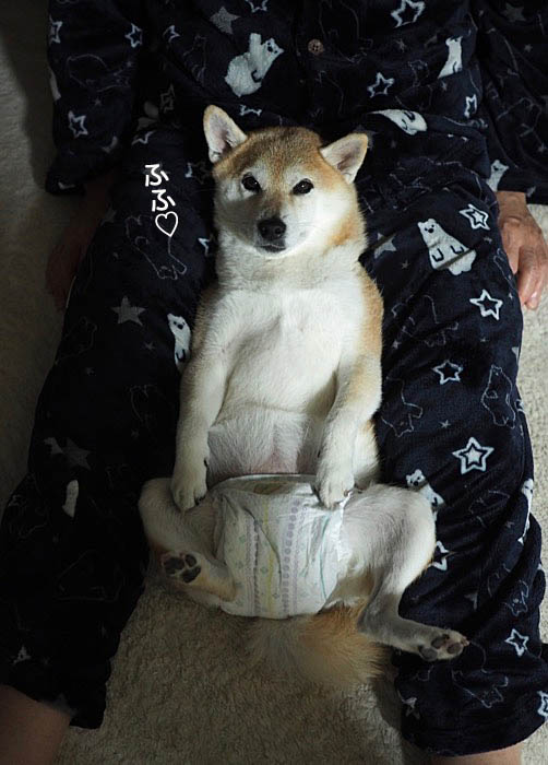 8日夜ブログ２