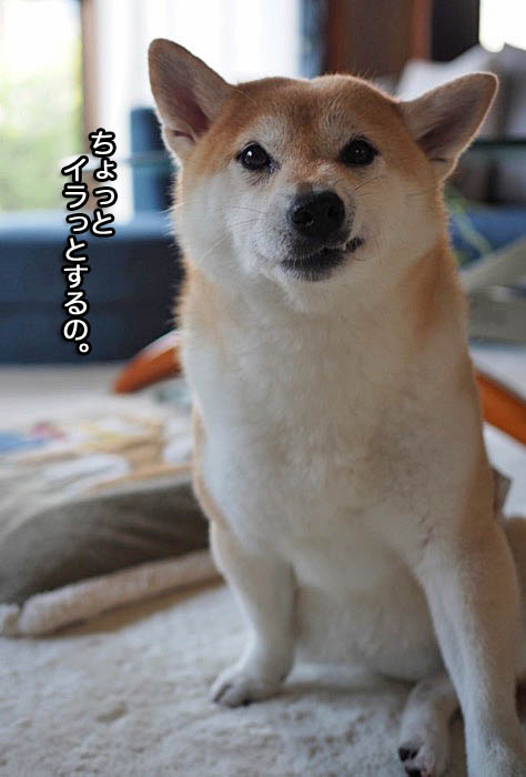 6日ブログ１２