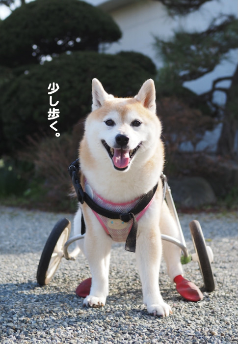 26日夜ブログ４