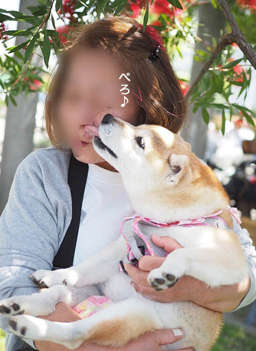 21日ブログ１４