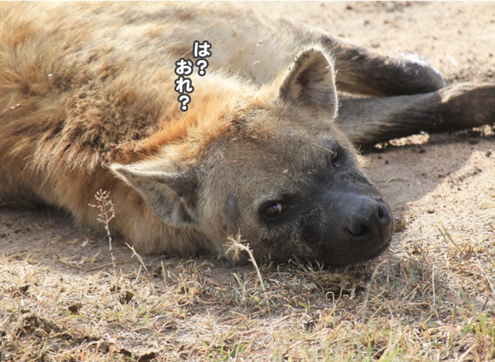 18日ブログ３