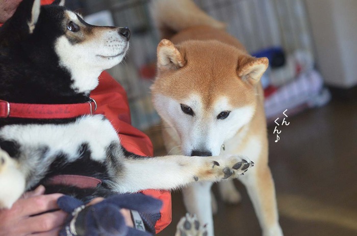 21日ブログ3