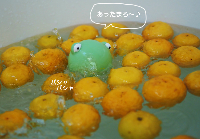 22日夕ブログ２