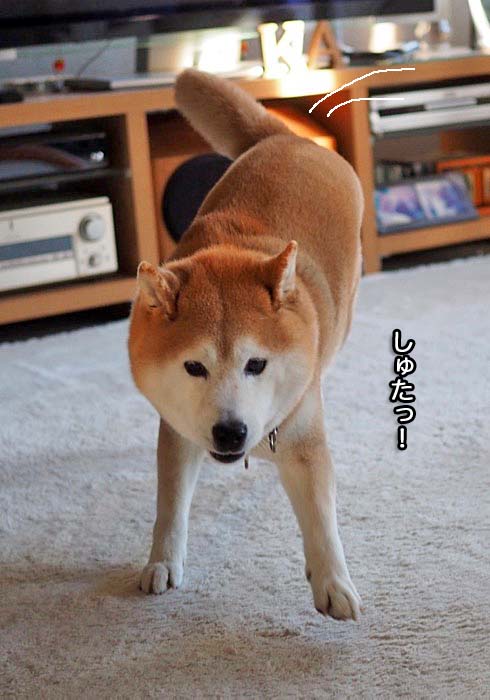 10日夜ブログ２