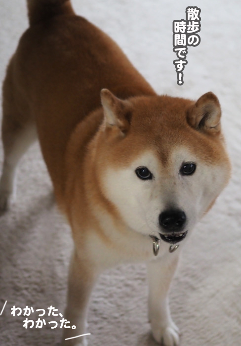 21日夕ブログ６