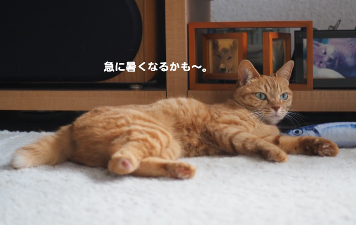 ２日夕ブログ２