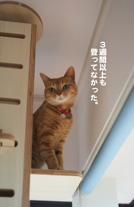 5日夕ブログ４