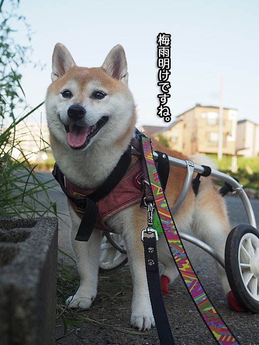 1日夜ブログ２