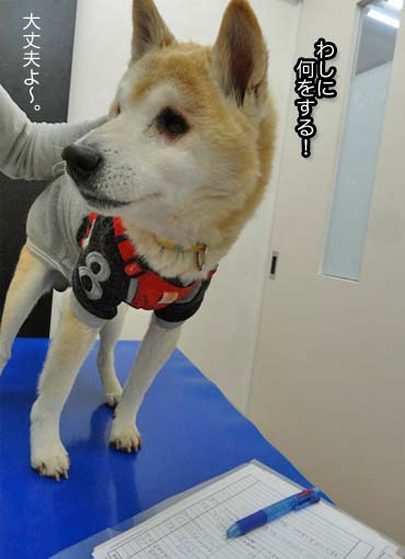 13日ブログ５.jpg