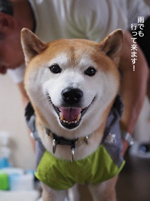 7日ブログ２