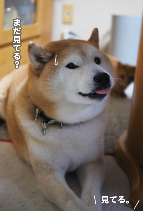 3日ブログ５