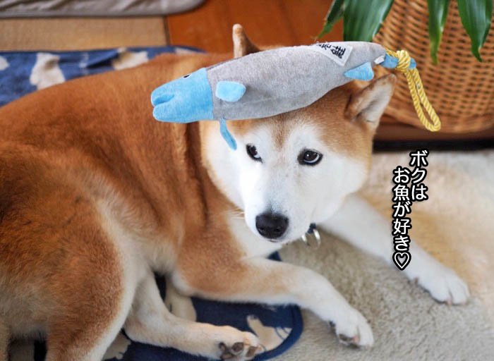 2日夜ブログ５