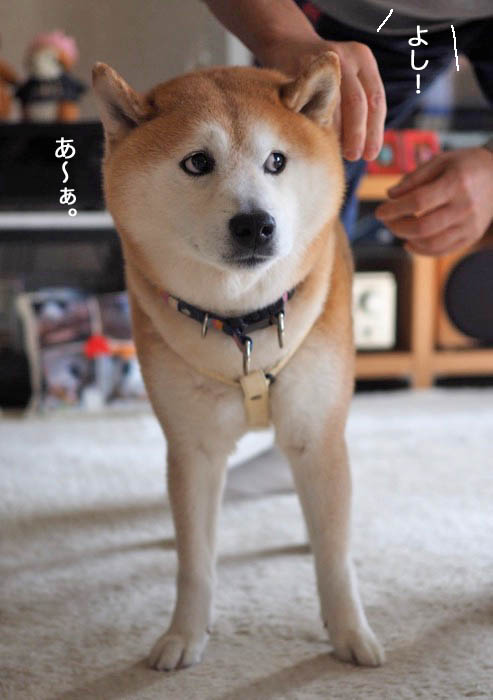 30日ブログ５