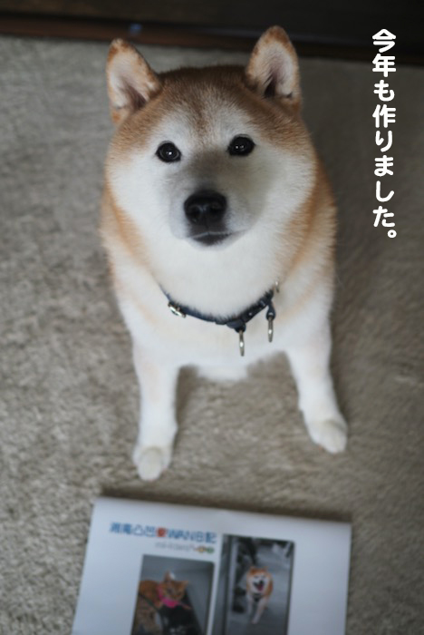 16日ブログ3