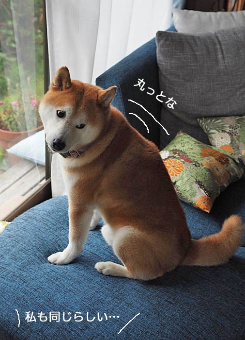 10日ブログ6