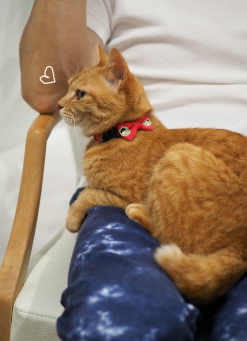 14日夕ブログ３