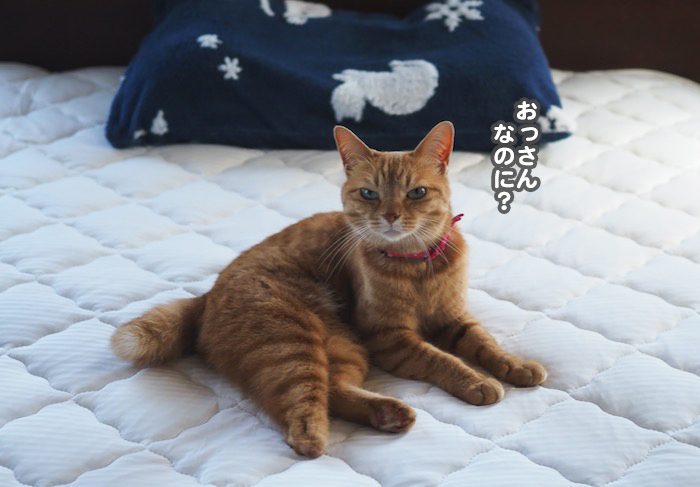 17日夕ブログ11