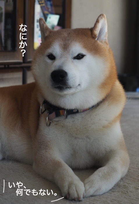29日夜ブログ１０