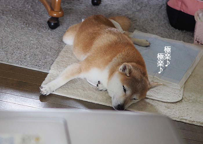 6日ブログ３